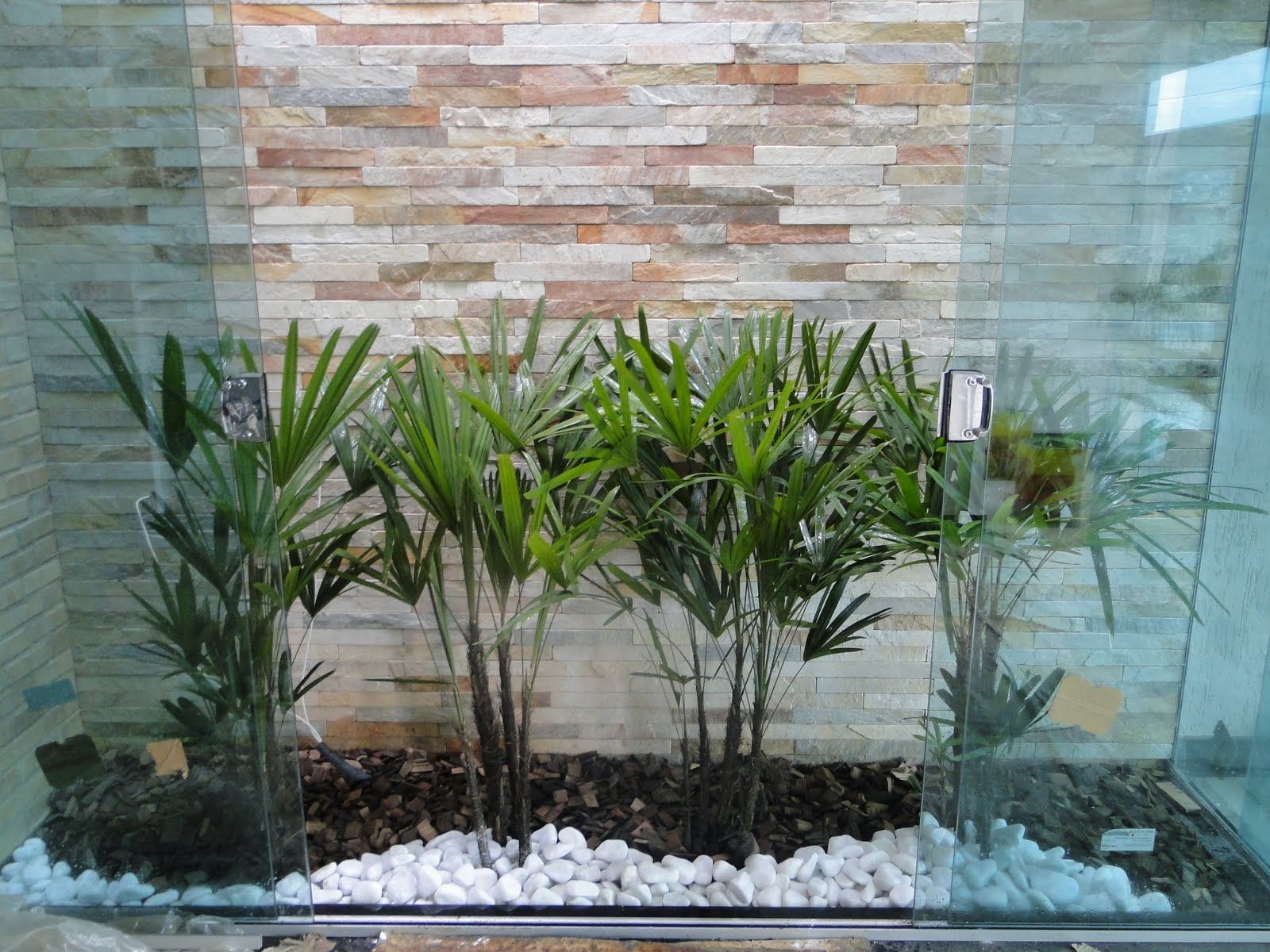 Como Escolher as Plantas Certas para seu Jardim de Inverno