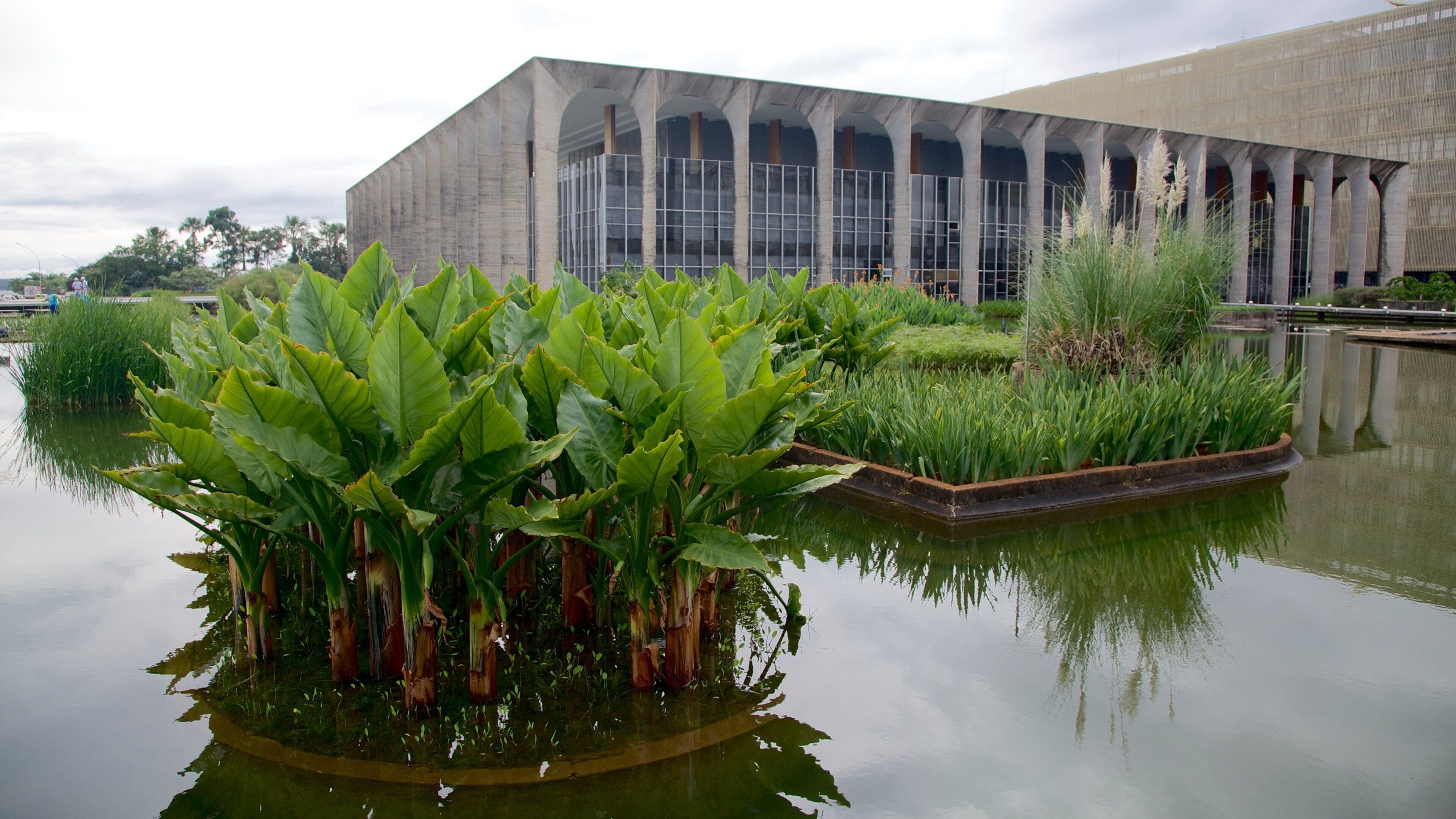 As plantas exóticas de Burle Marx no Jardim Secreto