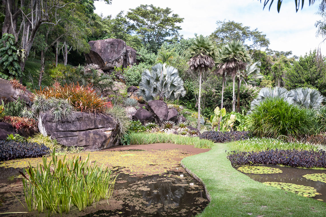 As plantas exóticas de Burle Marx no Jardim Secreto