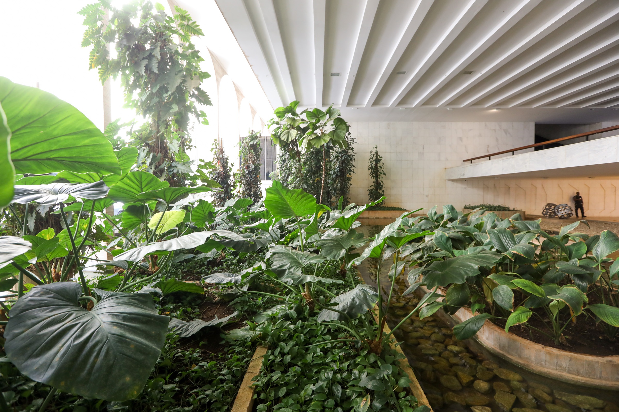 A história por trás dos Jardins do Itamaraty