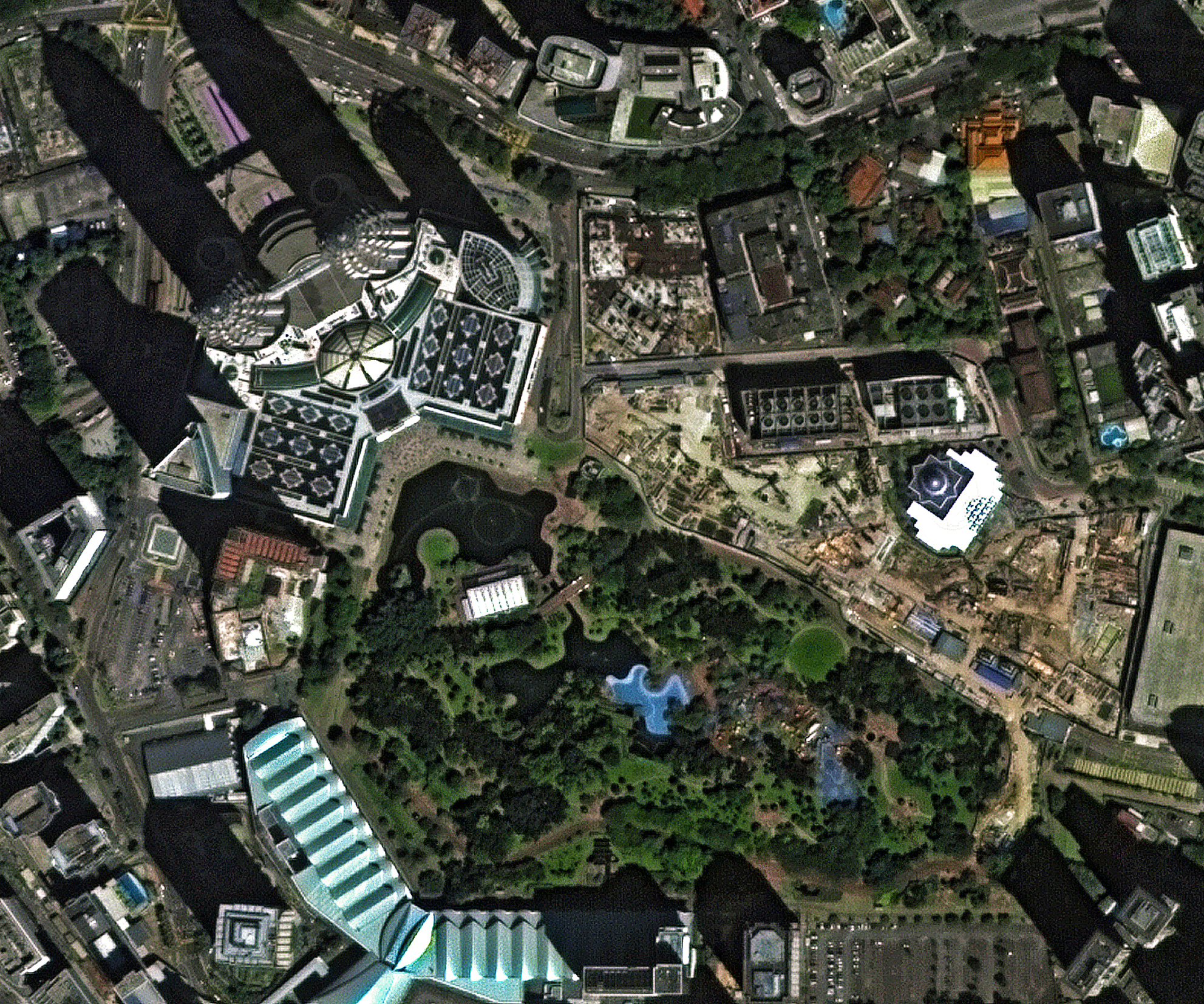 Espécies Nativas Utilizadas por Burle Marx nos Jardins do TCU