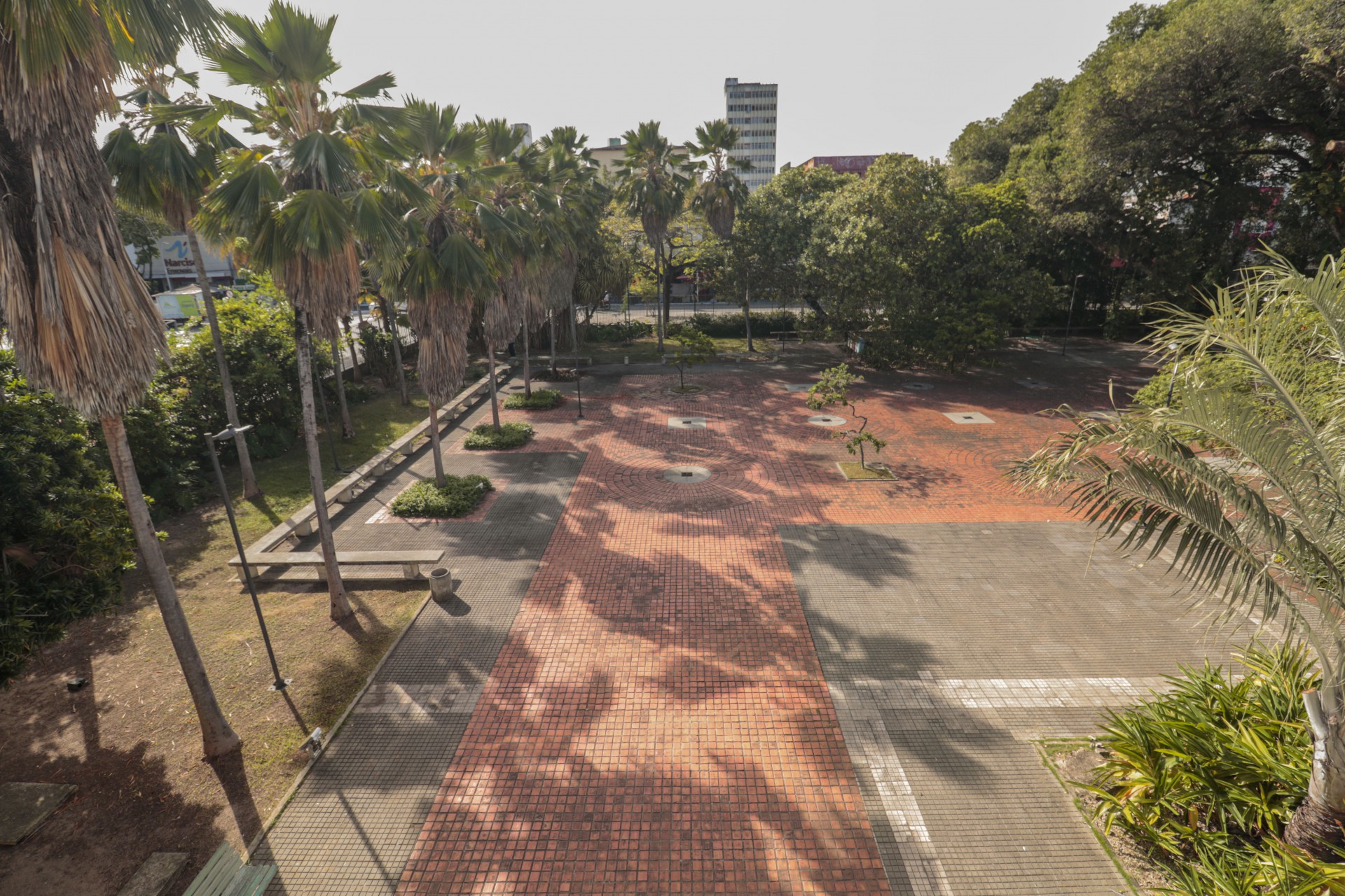 A influência de Roberto Burle Marx no paisagismo de Brasília