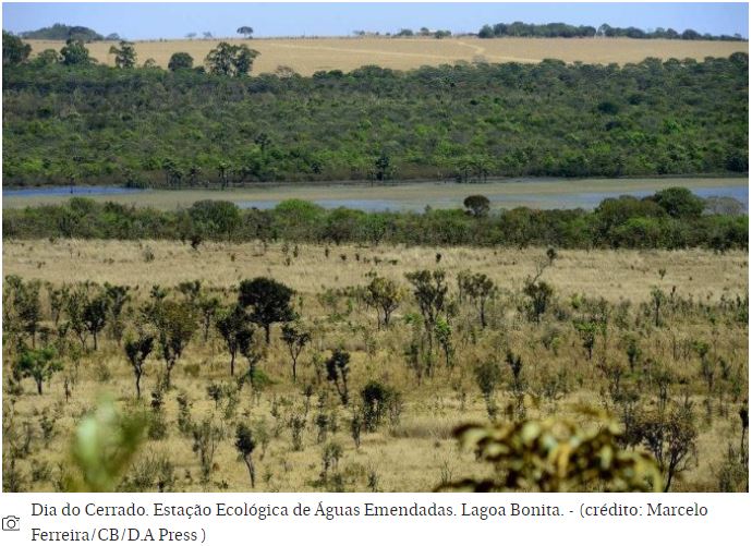 A fauna silvestre da Estação Ecológica de Águas Emendadas