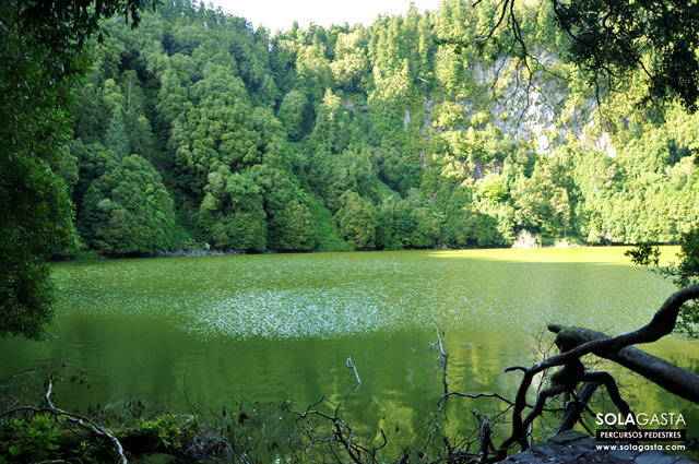 Projetos de recuperação ambiental no Distrito Federal