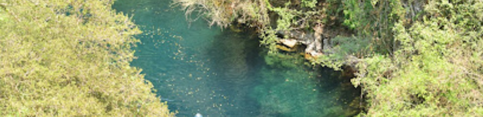 Projetos de recuperação ambiental no Distrito Federal