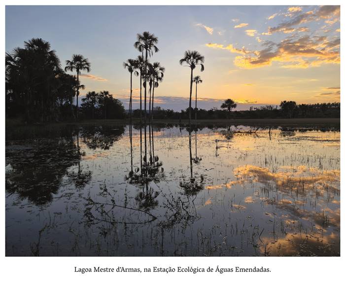 A fauna silvestre da Estação Ecológica de Águas Emendadas