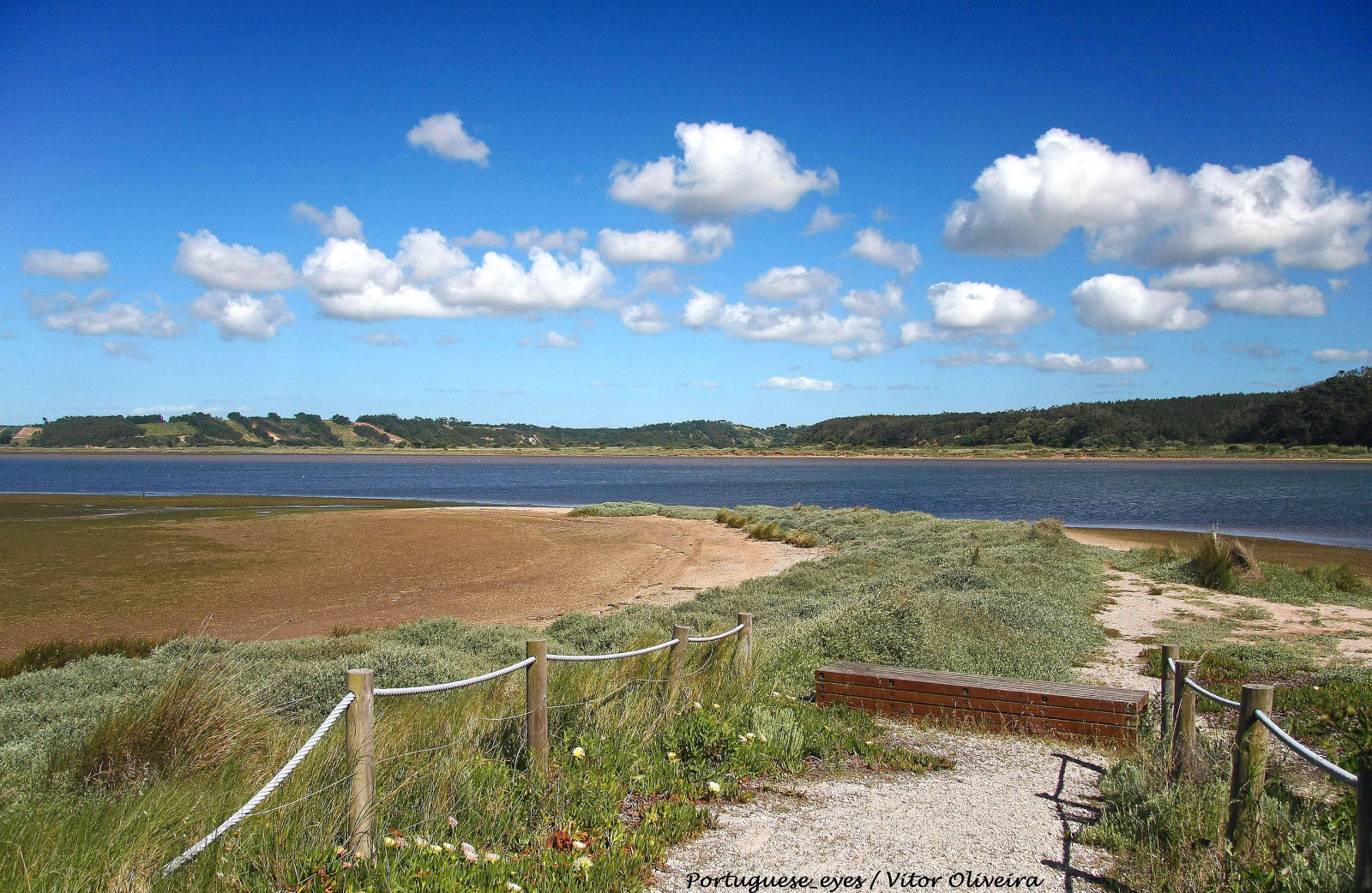 A importância do Cerrado para a hidrografia brasileira
