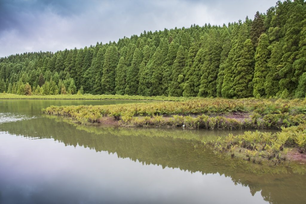 A história de Planaltina: o berço do Distrito Federal