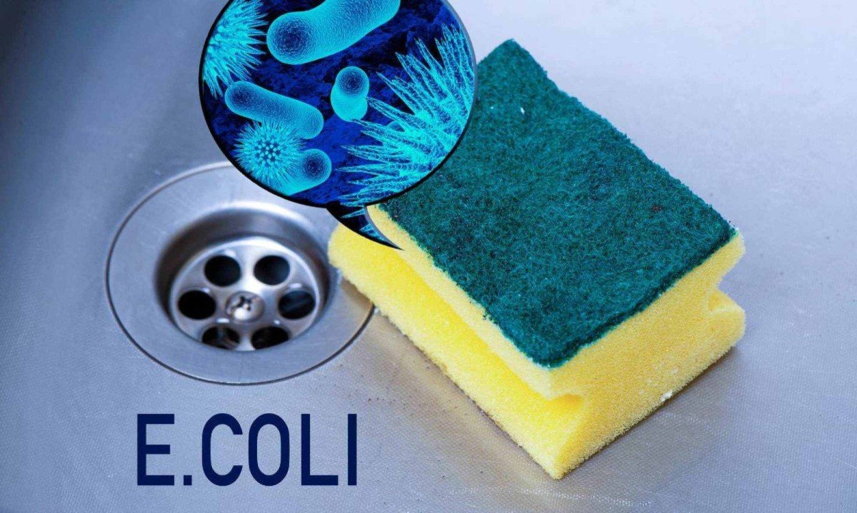 Qual a Esponja Ideal para Cada Tipo de Louça?