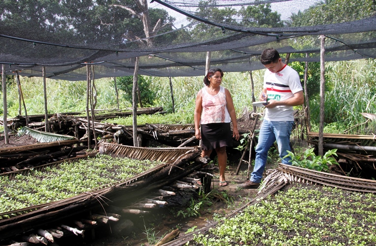 Técnicas de adubação eficientes em épocas de chuva