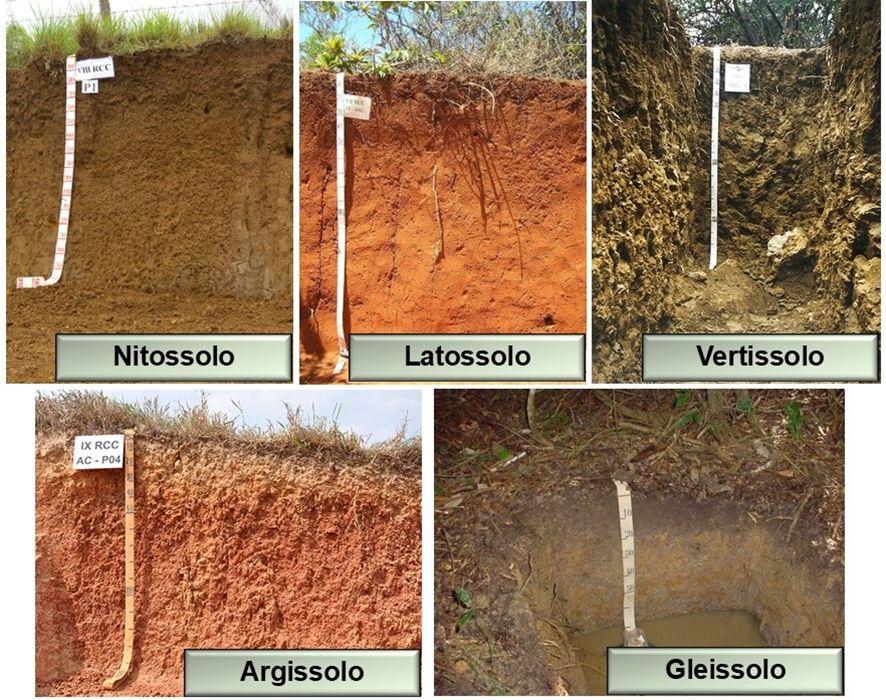 Matéria Orgânica e Areia: O Segredo para Transformar Solos Argilosos Compactados