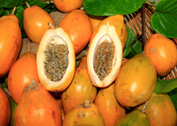 Mel de Abelhas Nativas vs. Mel Comum: Qual a Diferença?