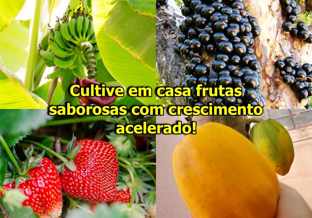 Guia completo de poda para árvores frutíferas