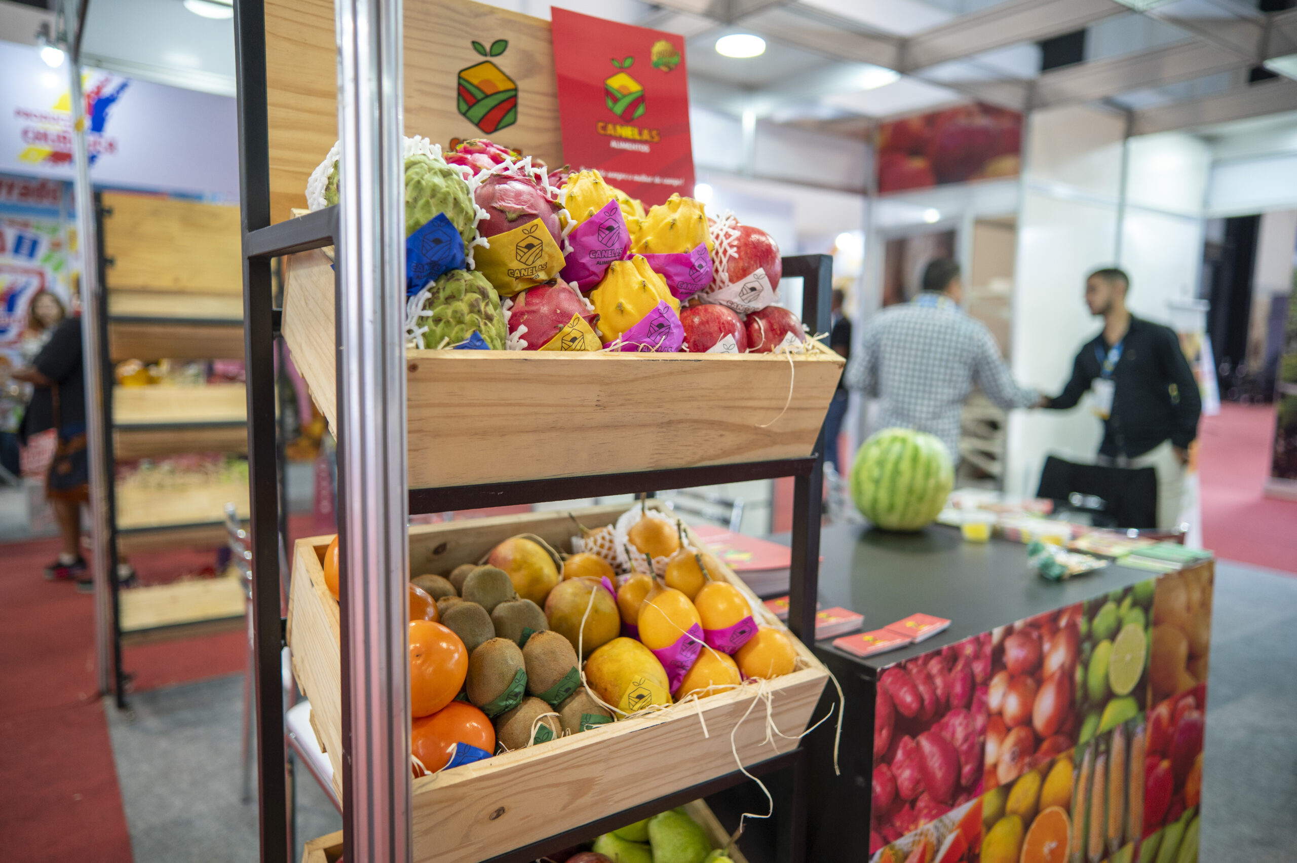 5 ideias de títulos:
1. Guia Completo de Orgânicos em Brasília: Mercados