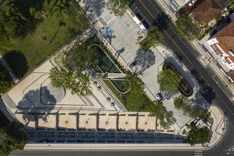 Como Agir ao Encontrar Micos e Saguis na Cidade: Dicas de Segurança