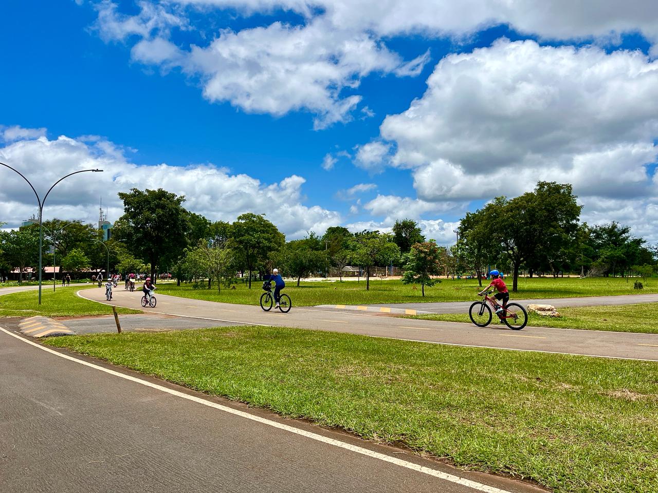 Além dos Micos: Outros Animais Silvestres que Você Pode Encontrar em Brasília