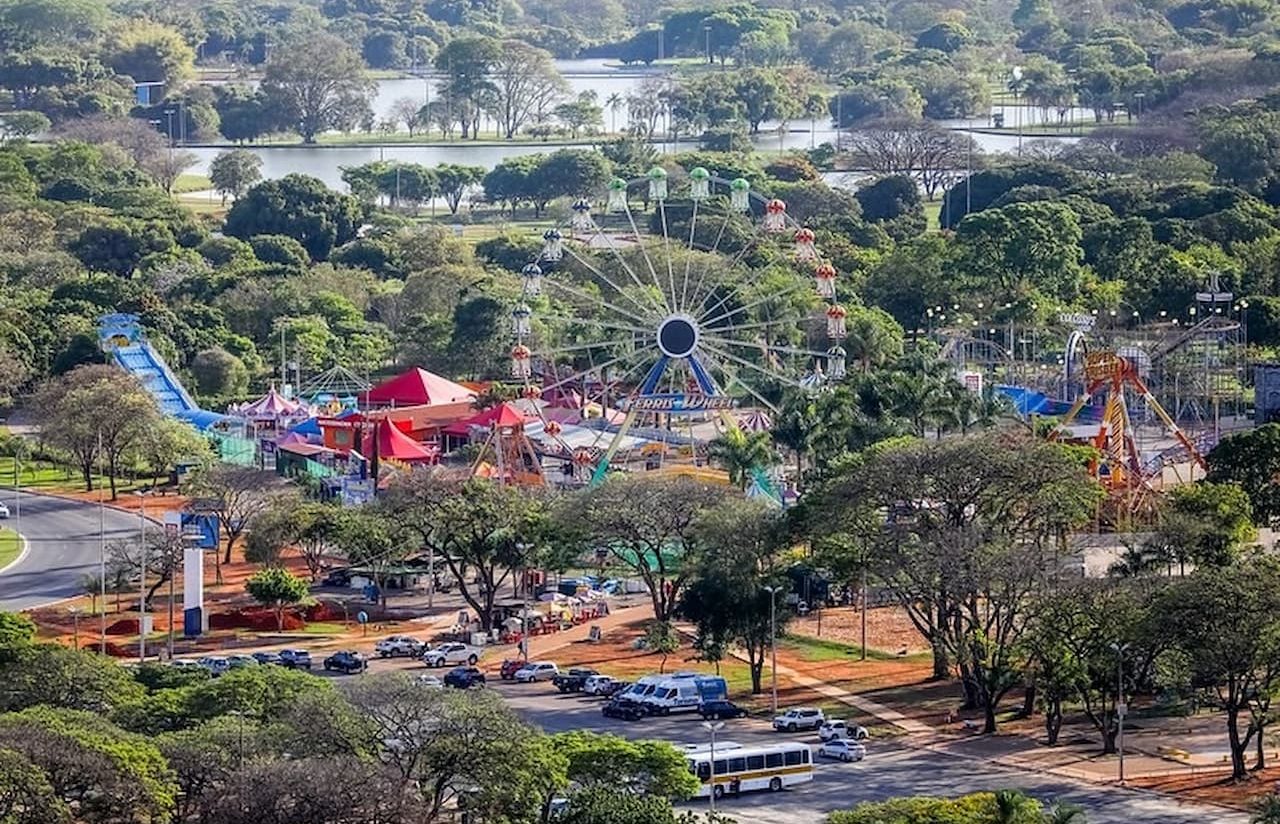 Além dos Micos: Outros Animais Silvestres que Você Pode Encontrar em Brasília