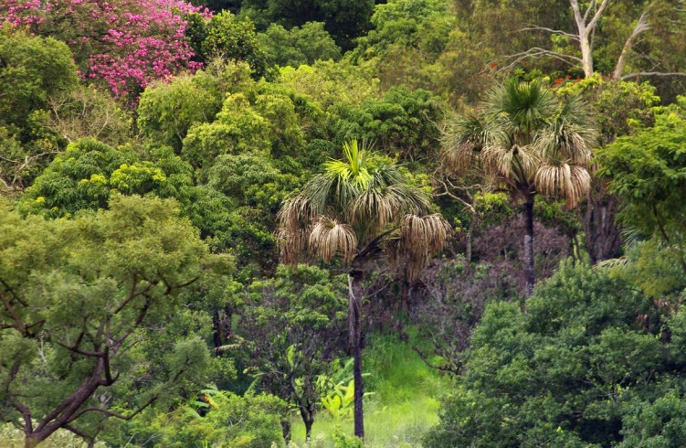 O Novo Micário do Zoológico de Brasília: Conheça as Espécies Raras