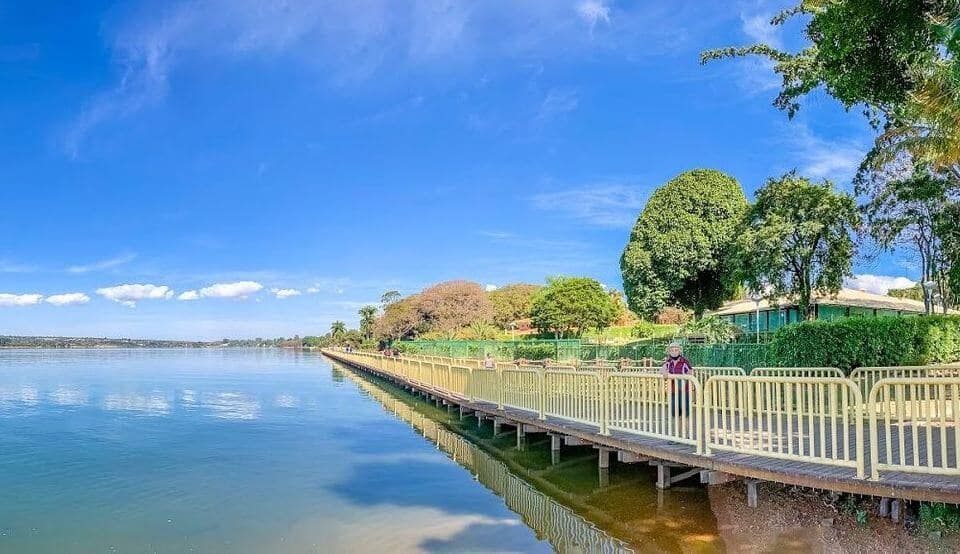 Além dos Micos: Outros Animais Silvestres que Você Pode Encontrar em Brasília