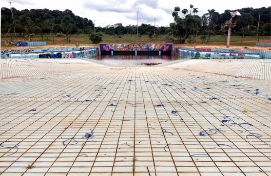 A Importância da Preservação dos Primatas no Cerrado de Brasília