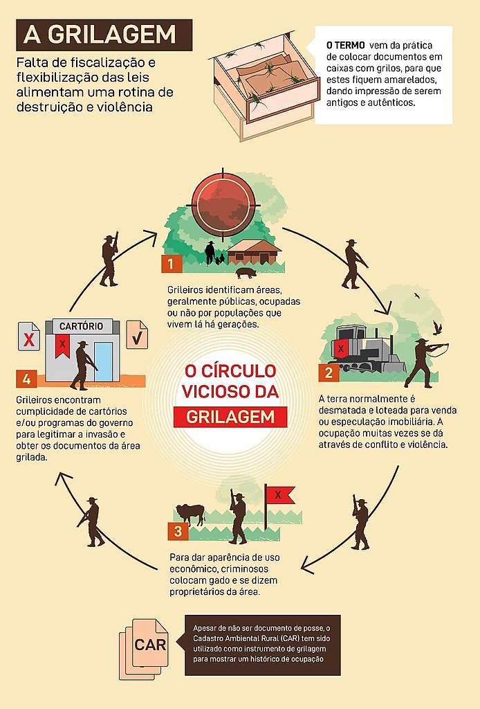 A História da Grilagem no Brasil: Da Origem do Termo aos Dias Atuais