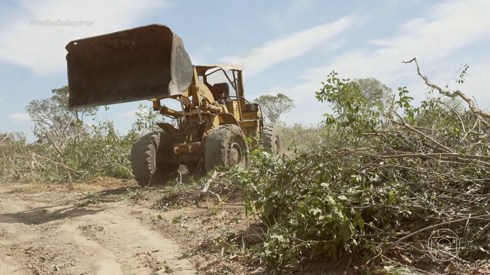Grilagem Digital: Novas Táticas de Falsificação de Documentos de Terra