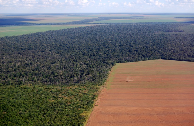 Legislação Anti-Grilagem: O Que Diz a Lei Brasileira?