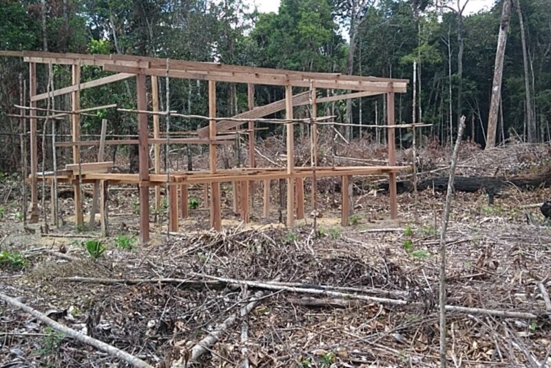 Comunidades Tradicionais e a Luta Contra a Grilagem de Terras