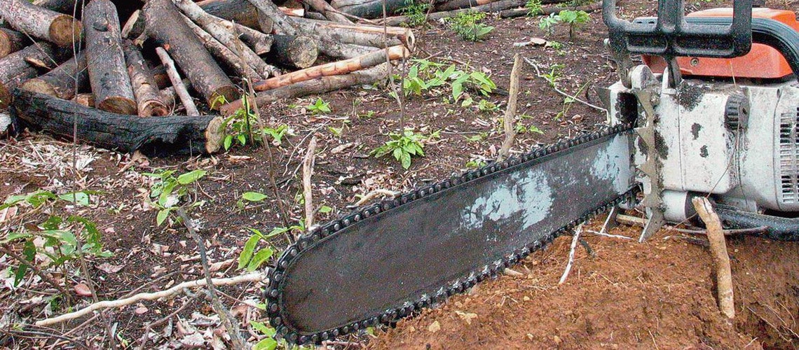 Grilagem Digital: Novas Táticas de Falsificação de Documentos de Terra