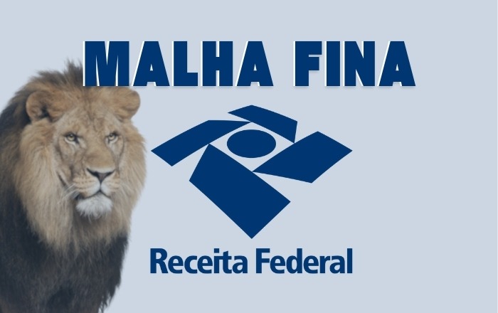 Guia completo: Malha Fina do IR