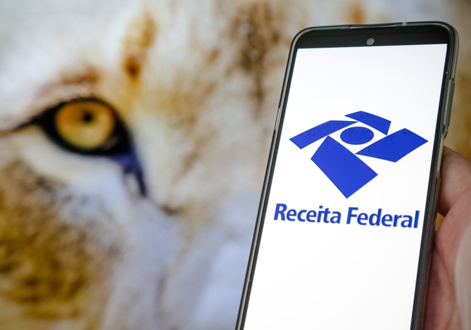 Como evitar cair na malha fina em 2024