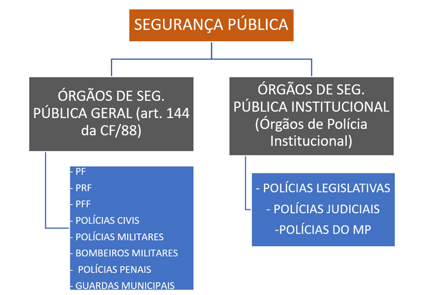 Entenda os princípios fundamentais da PNSPDS
