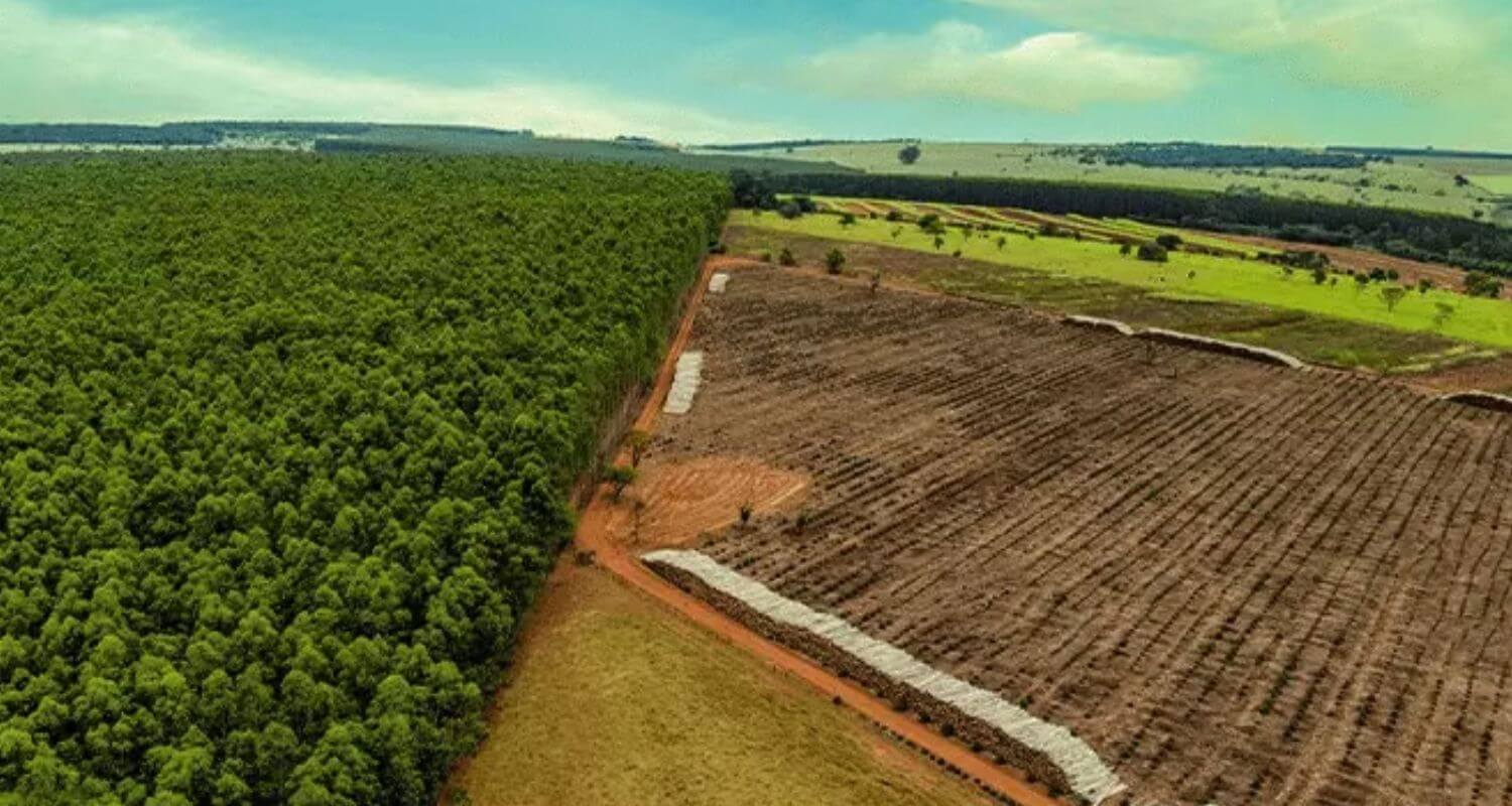 Compensação de Reserva Legal: Alternativas e Processos de Regularização