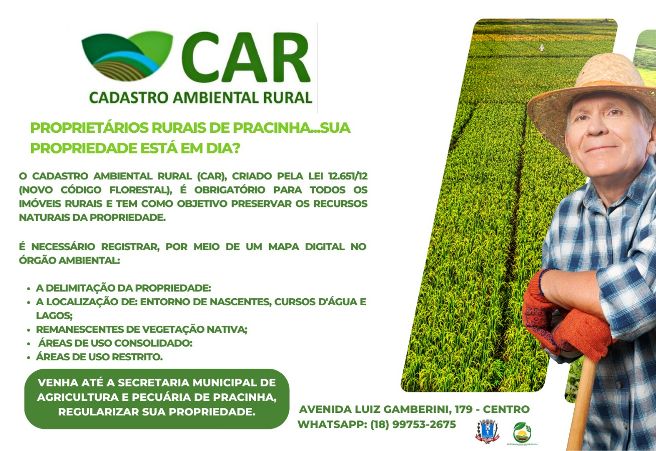 Guia Completo: Como emitir o recibo do CAR