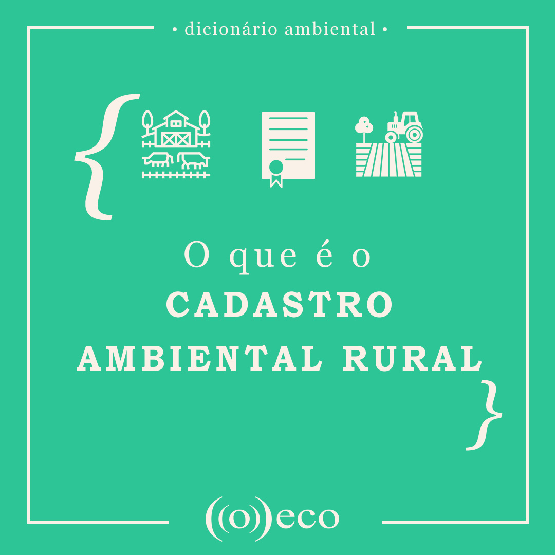 Entenda os benefícios fiscais do CAR para sua propriedade