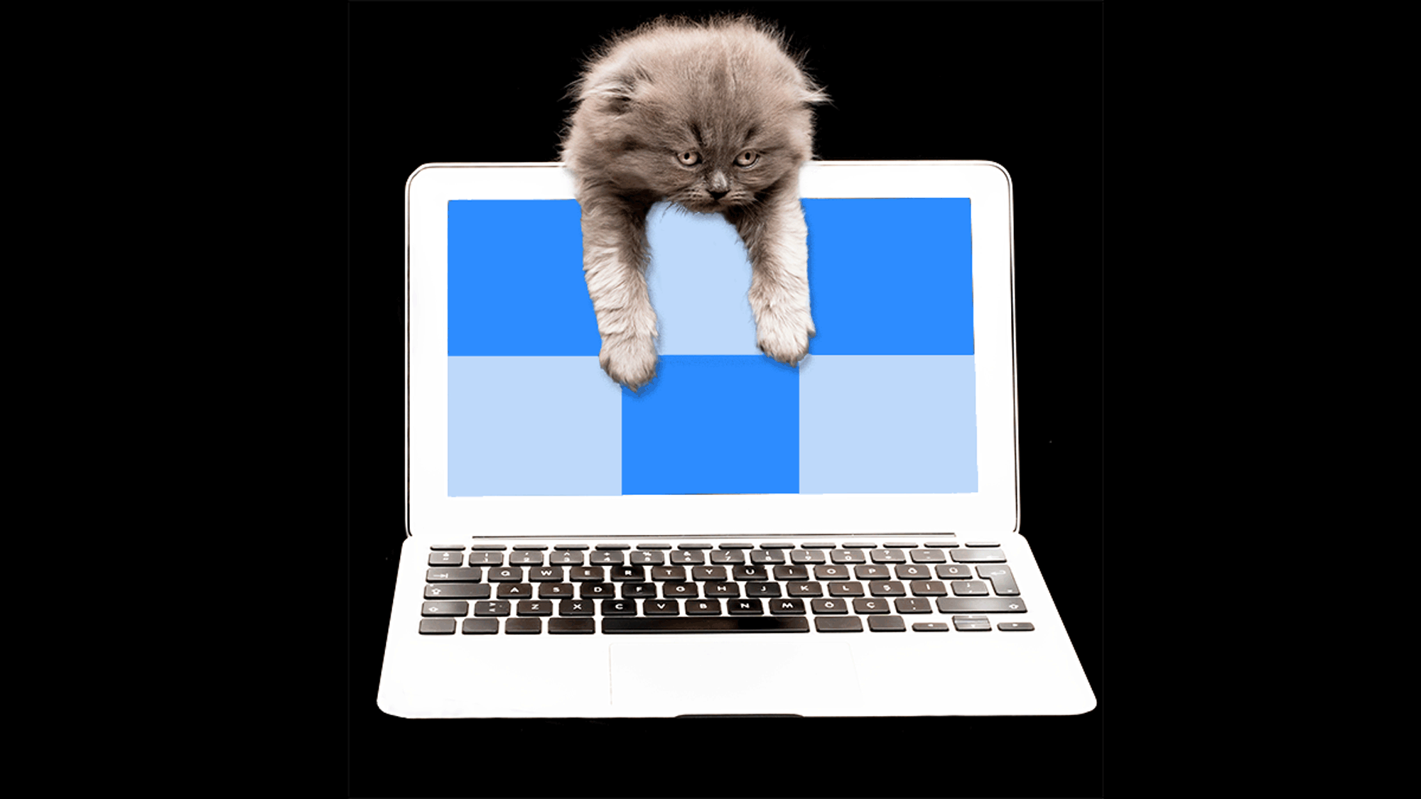 o que é fadiga de zoom e como evitar