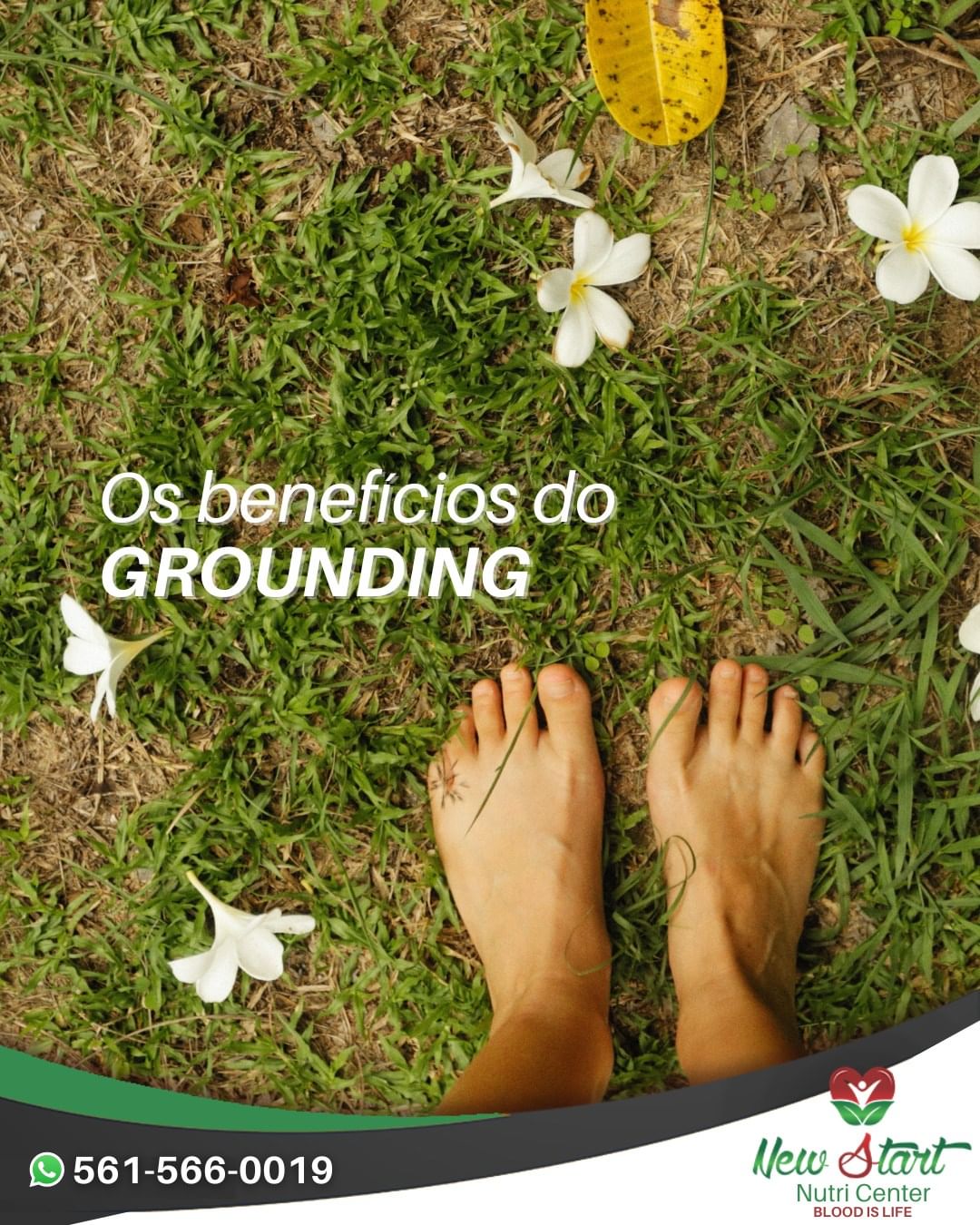5 Lugares Naturais Incríveis para Praticar Grounding na Sua Cidade