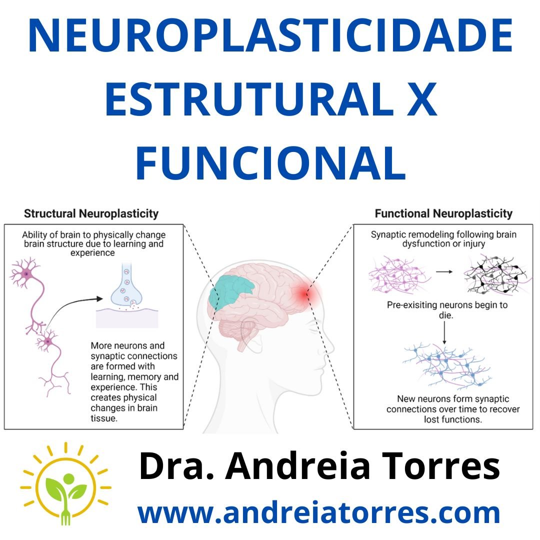o que é neuroplasticidade e como treinar