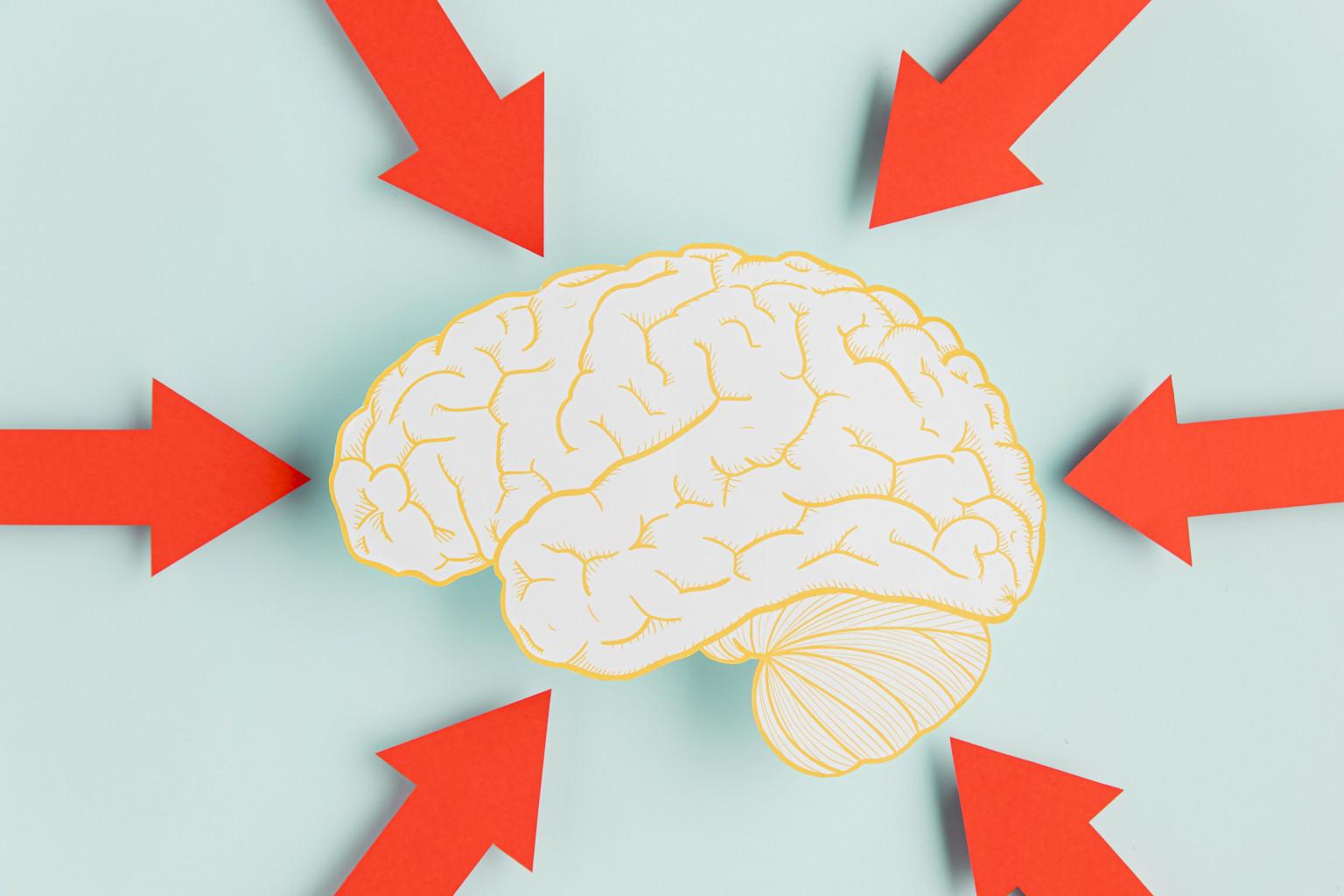 o que é neuroplasticidade e como treinar