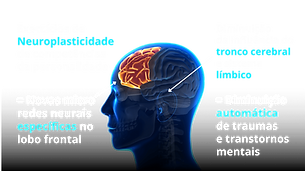 Neuroplasticidade e Exercício Físico: A Conexão para um Cérebro Mais Forte; Aprenda um Novo Idioma e Estimule Sua Neuroplasticidade: Guia Completo; Neuroplasticidade na Infância: Como Pais Podem Estimular o Desenvolvimento Cognitivo; Recuperação de Lesões Cerebrais: O Papel Fundamental da Neuroplasticidade; Dieta e Sono: Pilares Essenciais para Otimizar a Neuroplasticidade