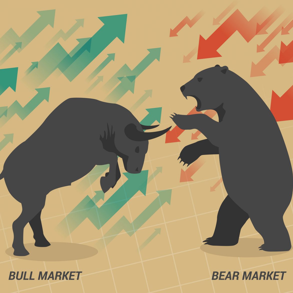 Estratégias de investimento em um Bear Market