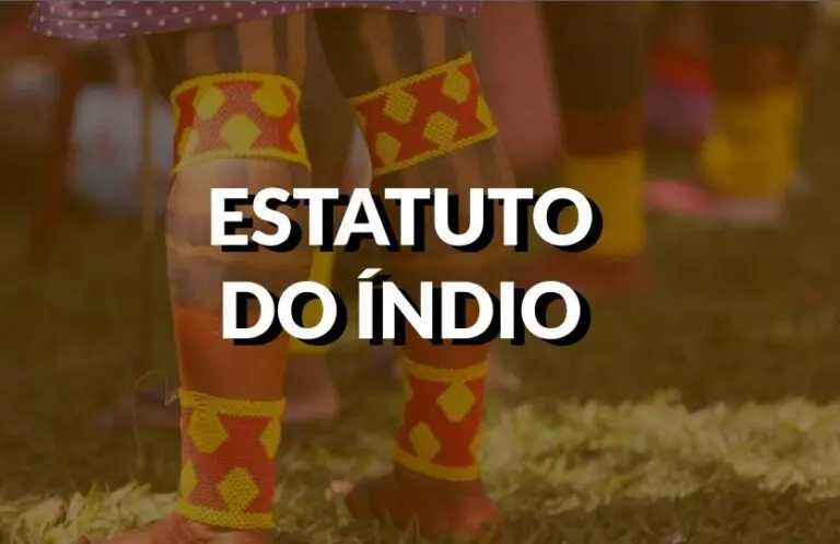 o que é o estatuto do índio