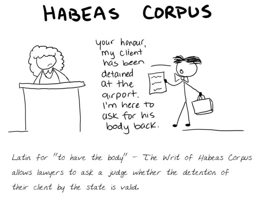 A importância do HC na defesa dos direitos fundamentais