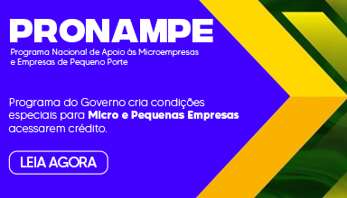 Guia Completo do Pronampe para MEI em 2025