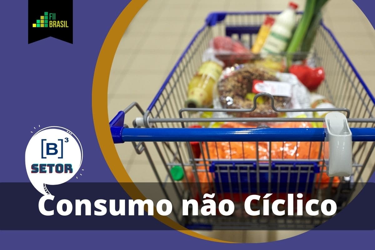 Consumo Não Cíclico vs. Cíclico: Onde Seu Dinheiro Está Mais Seguro?