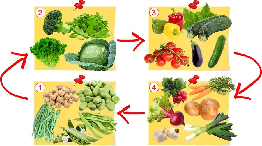 o que é rotação de culturas na horta