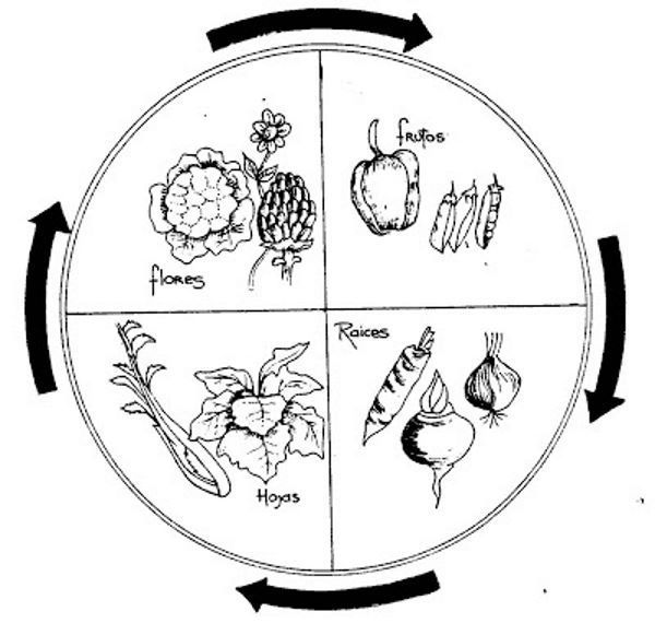 Planejamento de canteiros para hortas pequenas