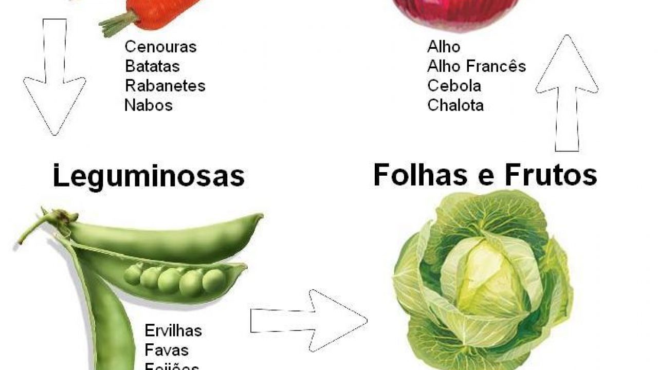 Como identificar pragas e doenças na horta