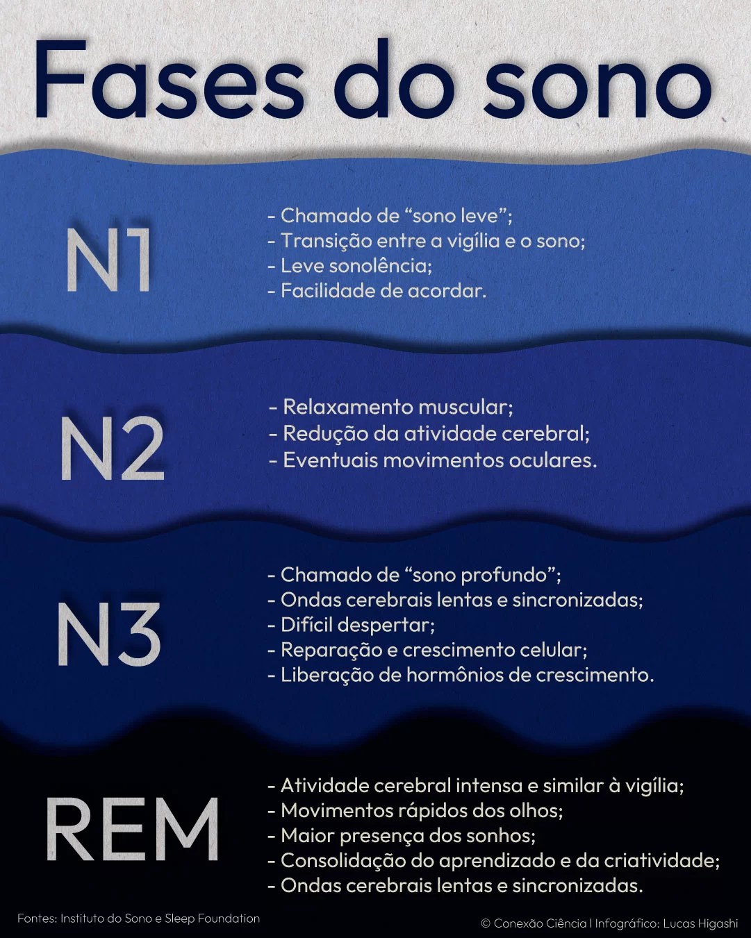 o que é sono rem e por que importa