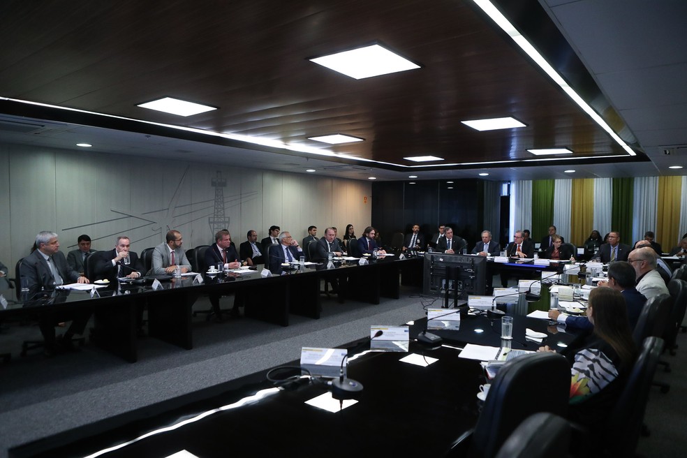 Quem Compõe o CNPE e Como Suas Decisões Afetam a Economia